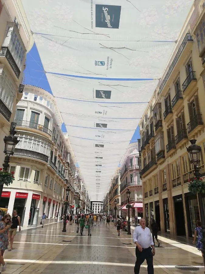 Apartamento Apartamento Con Encanto Larios Street Málaga 0*,